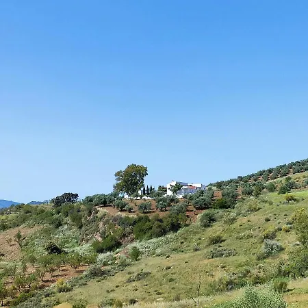 Cortijo El Tunante