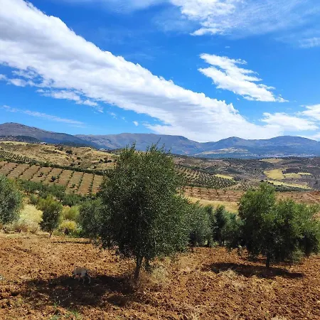Cortijo El Tunante Malaga